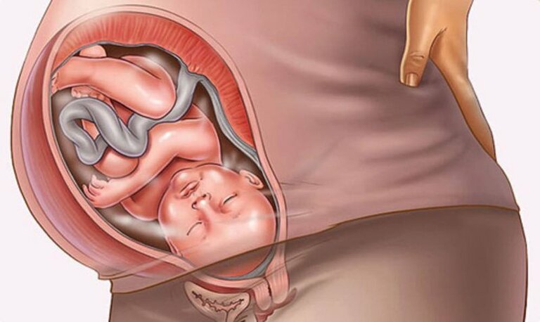 Sự phát triển của thai nhi trong tháng thứ 9