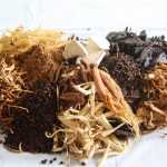Chữa xuất tinh sớm bằng thuốc Đông Y