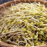 Chữa yếu sinh lý bằng giá đỗ