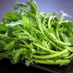 Top 12 cây thuốc nam chữa ho
