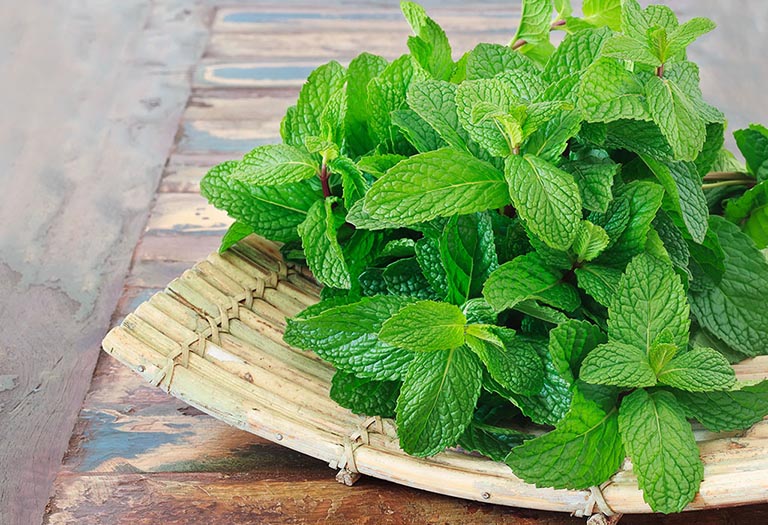 chữa mề đay bằng thuốc nam chữa mề đay bằng thuốc nam
