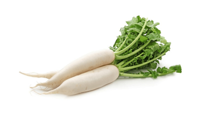 Củ cải trắng là một vị thuốc chữa được nhiều chứng bệnh về đường hô hấp.