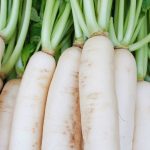 Ngâm củ cải trắng với mật ong, chắt lấy nước uống để điều trị bệnh ho.