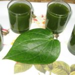 Uống nước lá trầu không thay cho nước uống hằng ngày cho đến khi khỏi bệnh