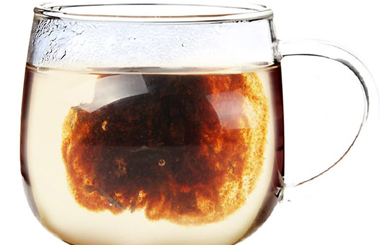 Pha trà từ hạt đười ươi uống trị gai cột sống
