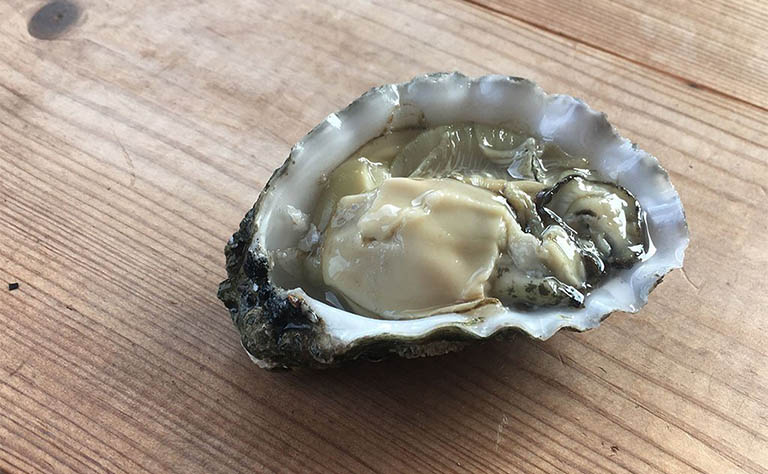 tinh chất hàu úc oyster plus có tốt không
