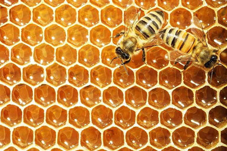 Thành phần dưỡng chất của mật ong