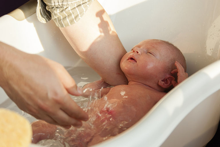 Tắm nước lá đinh lăng cho trẻ sơ sinh như thế nào là đúng cách