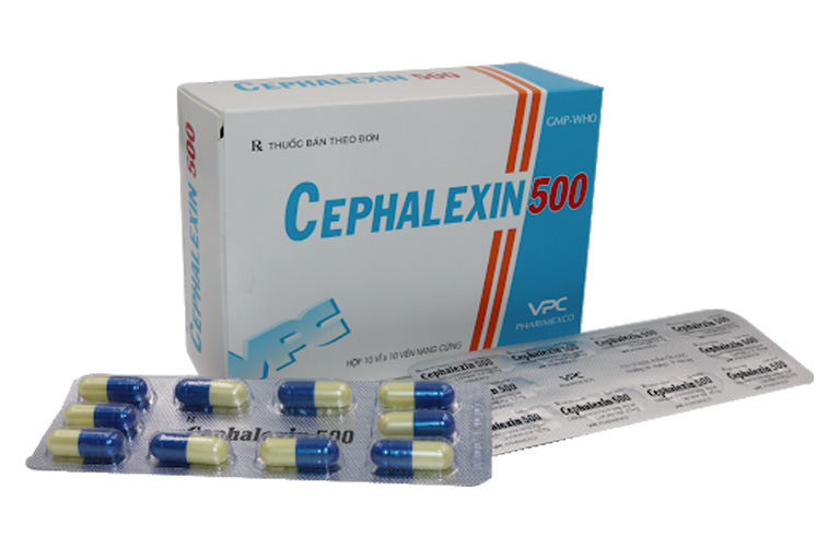kháng sinh Cephalexin