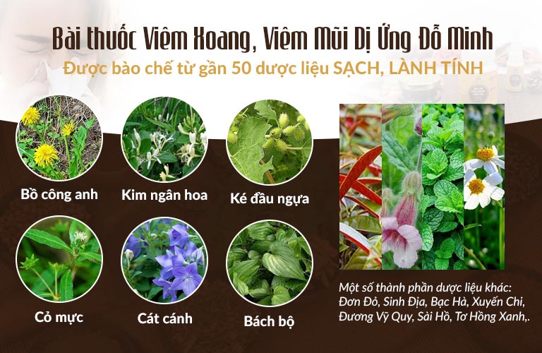 Nguồn thảo dược thuần Việt dùng điều chế bài thuốc chữa xoang BÍ TRUYỀN dòng họ Đỗ Minh